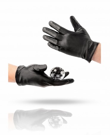 Перчатки Мужские 81_PRS/BL